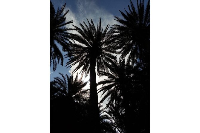 RIVIERA - Vai Palm Beach, Toplou Monastery - Booking, timing, and cancellation details