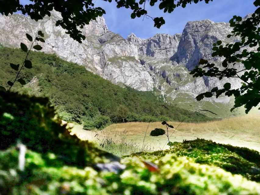 Santander: Picos, Santo Toribio Monastery and Potes Day Tour - Fuente Dé and the four-minute cable car ascent