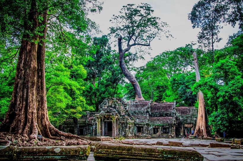 Seat-In-Coach: Small Circuit tour with Sunrise at Angkor Wat - What the guides add to the morning
