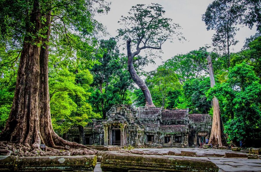 Seat-In-Coach: Small Circuit tour with Sunrise at Angkor Wat - Is $30 good value?