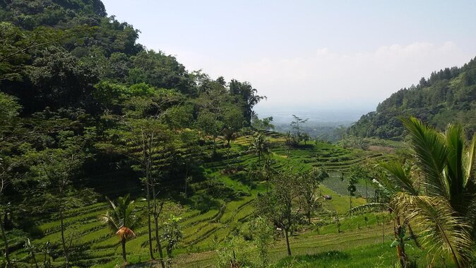 Selogriyo Temple and Trekking Java Rice Terraces, hidden waterfall -Nature Java - What makes this day trip worth your time