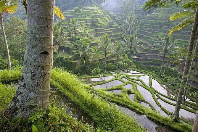Selogriyo Temple and Trekking Java Rice Terraces, hidden waterfall -Nature Java - Kedung Kayang Waterfall beneath Mount Merapi