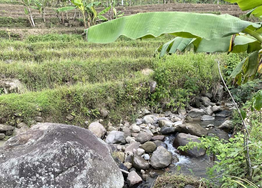 Selogriyo Temple Rice Terraces Private Tour with Local Lunch - Who Will Enjoy This Tour Most