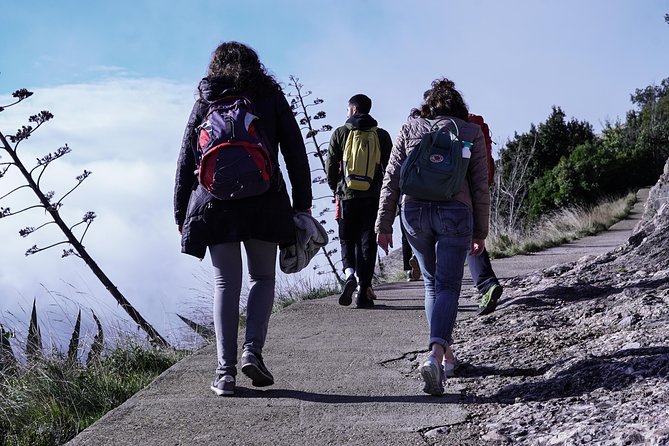 Semi-Private Montserrat Monastery & Hiking Experience - Guides are a major part of the value