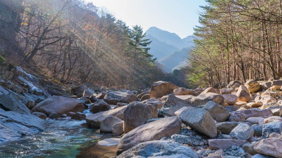 Seoul: Mt Seorak + Naksansa Temple or Nami Island Group Tour - Key points to know before booking