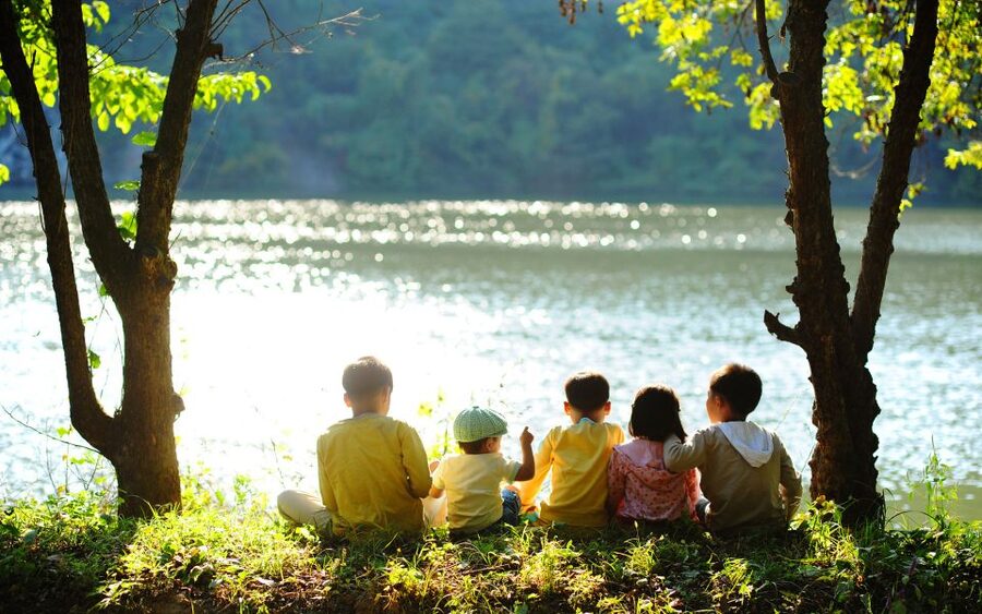 Seoul: Mt Seorak + Naksansa Temple or Nami Island Group Tour - Why this day trip works from Seoul