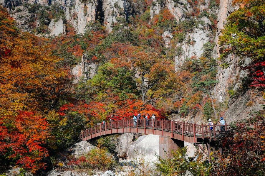 Seoul: Mt Seorak + Naksansa Temple or Nami Island Group Tour - Mt Seorak: choose your own level of effort
