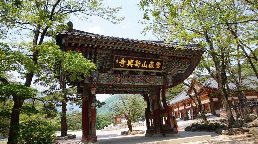 Seoul: Mt Seorak + Naksansa Temple or Nami Island Group Tour - Guides make the tight schedule easier