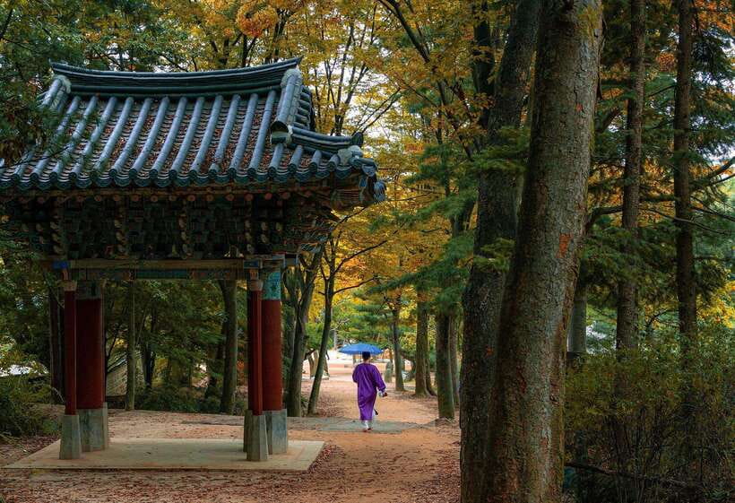 Seoul Sunrise & Sunset Hike + Temple & K-Food Adventure - The Achasan climb and Seoul views