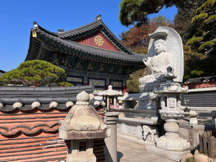 Seoul Sunrise & Sunset Hike + Temple & K-Food Adventure - Who should book this experience?