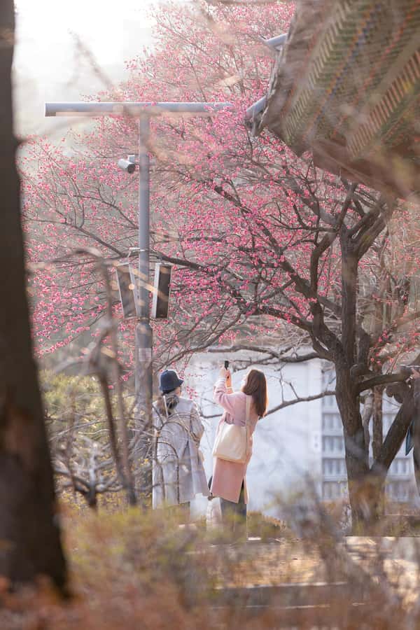 Seoul: Temple & Starfield COEX Mall Gourmet Tour in Gangnam - Should you book this tour?