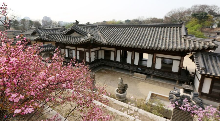 Seoul: UNESCO Sites tour: Palace, Shrine & Bukchon Village - Is $36 a good value?