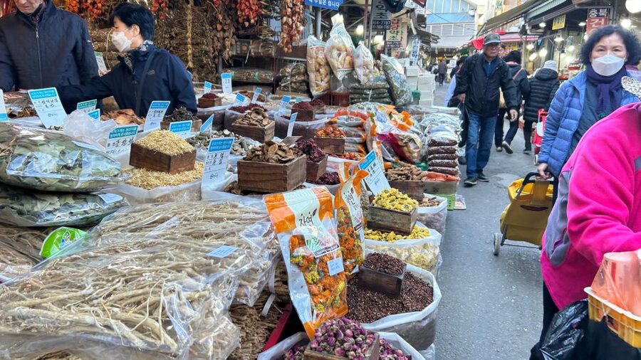Seoul: Vegan Temple Food Class, Jogyesa & Changdeokgung Tour - Who Should Book This Experience?