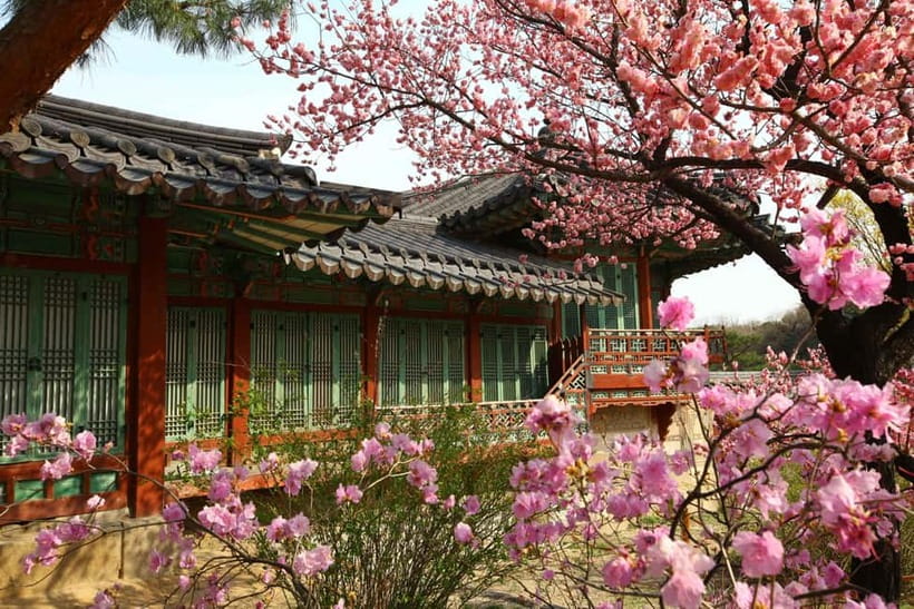 Seoul: Vegan Temple Food Class, Jogyesa & Changdeokgung Tour - Guides and the Personal Feel of the Day