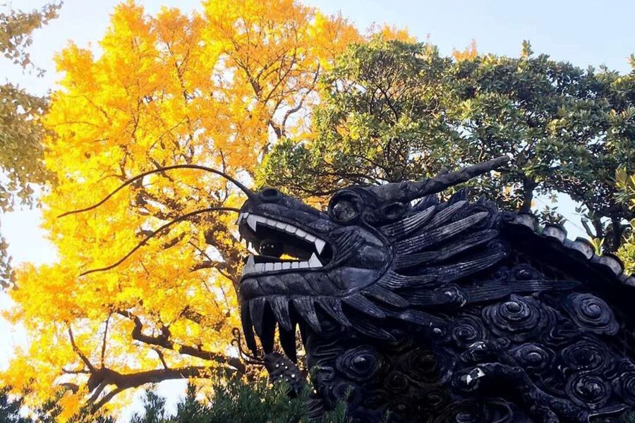 Shanghai: Yu Garden and City God Temple Walking Tour - What $60 buys you in practical terms
