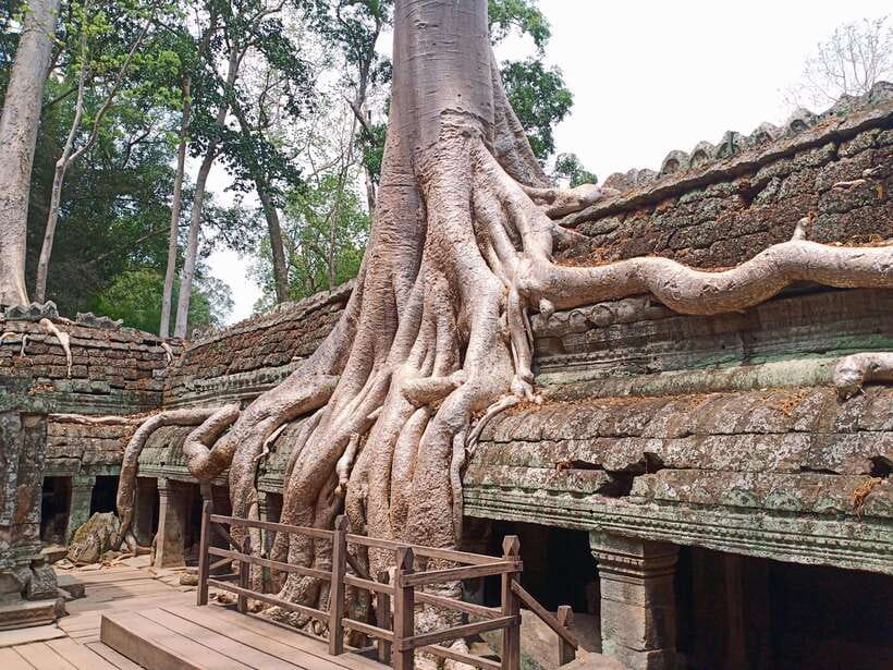 Sharing Trip to Angkor Temple with sunset - Why this $19 Angkor trip offers good value