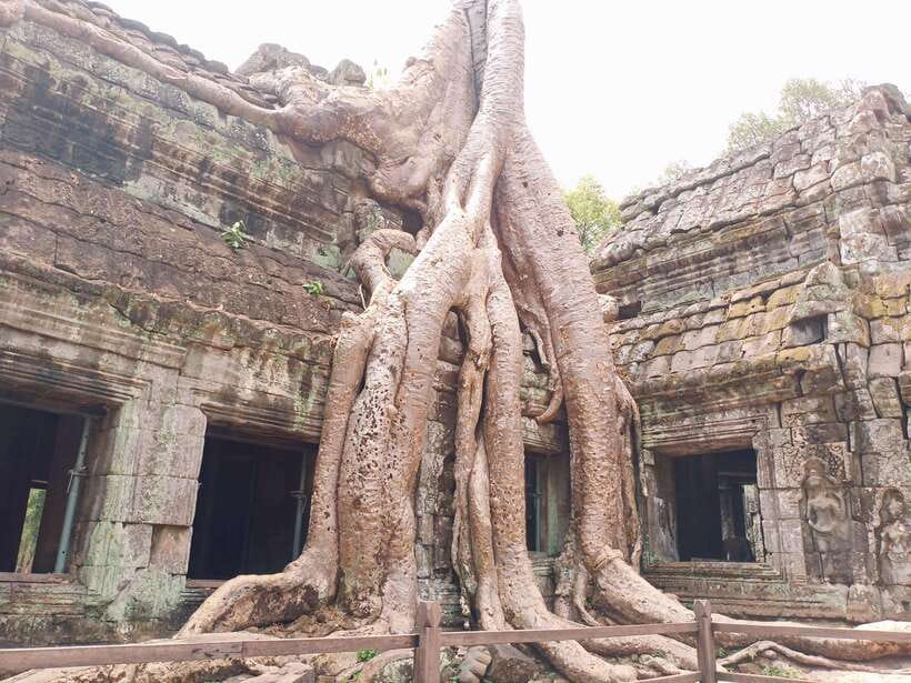 Sharing Trip to Angkor Temple with sunset - The Terrace of the Elephants and the shaded finish at Preah Palilay