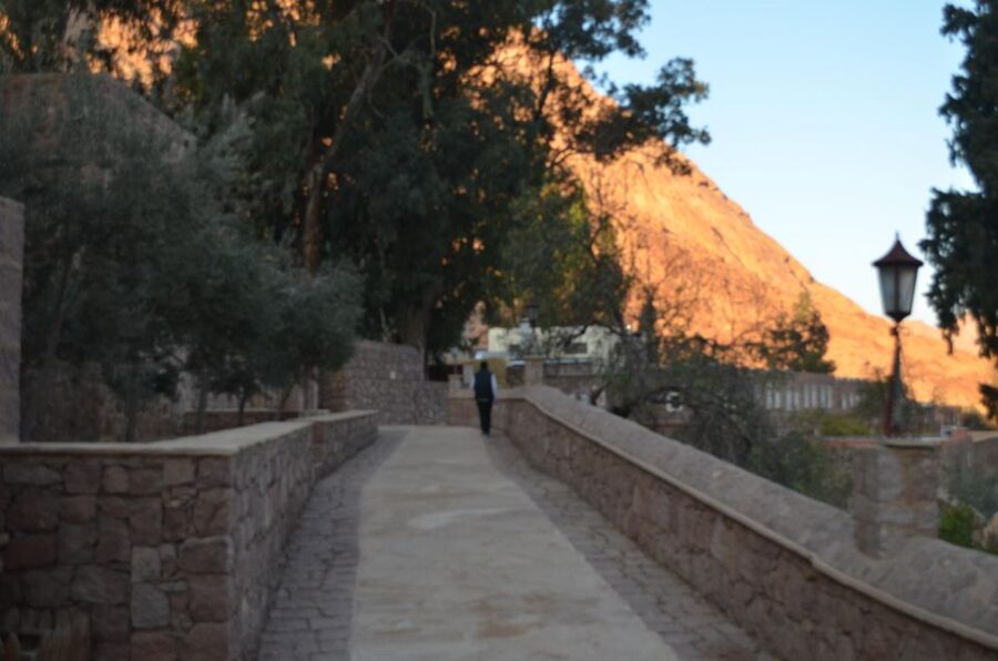 Sharm El Sheikh: Saint Catherine's Monastery Private Tour - Who should book this experience?
