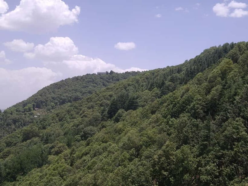 Shimla: Temples Tour with full day Local Driver Guide - Why Shimla’s temples make a good full-day outing