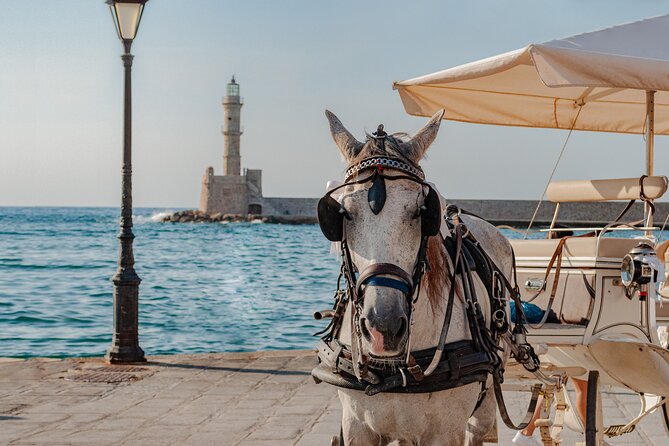 Shore Explore Chania: City Charm, Beach, Monastery & Winetasting - Vehicle comfort, pickup, and timing