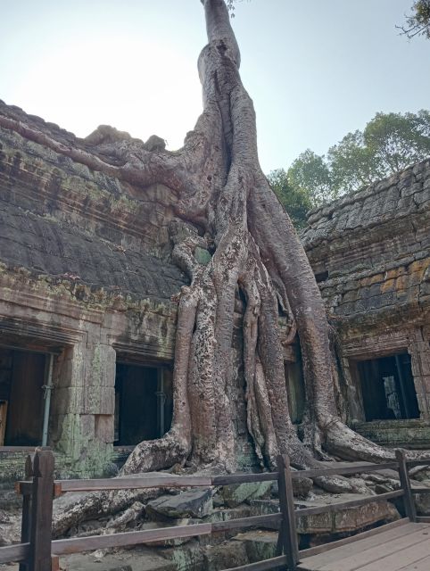 Siem Reap: 1-Day Angkor Wat Tour in Portuguese - Angkor Wat, the grand finish