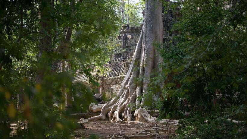 Siem Reap: Angkor Temples Off-Track Bicycle Tour - Why cycling changes your Angkor day