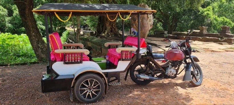 Siem Reap: Angkor Temples Tour by a Private Tuk Tuk - Ta Prohm, roots, and the Tomb Raider effect