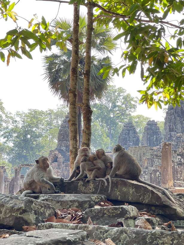 Siem Reap: Angkor Wat Private full Day Tour - Bayon’s maze of faces and tight corridors