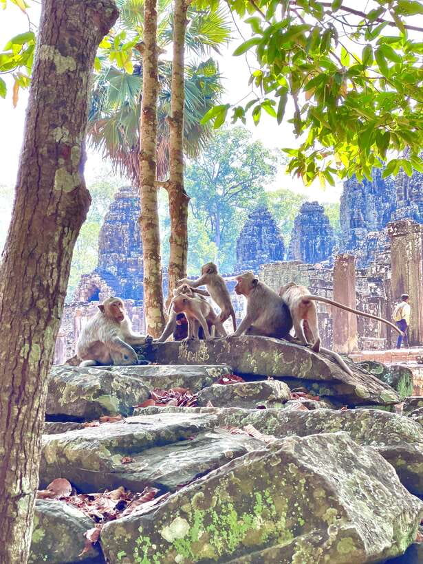 Siem Reap: Angkor Wat Private full Day Tour - Lunch and a needed break before Ta Prohm