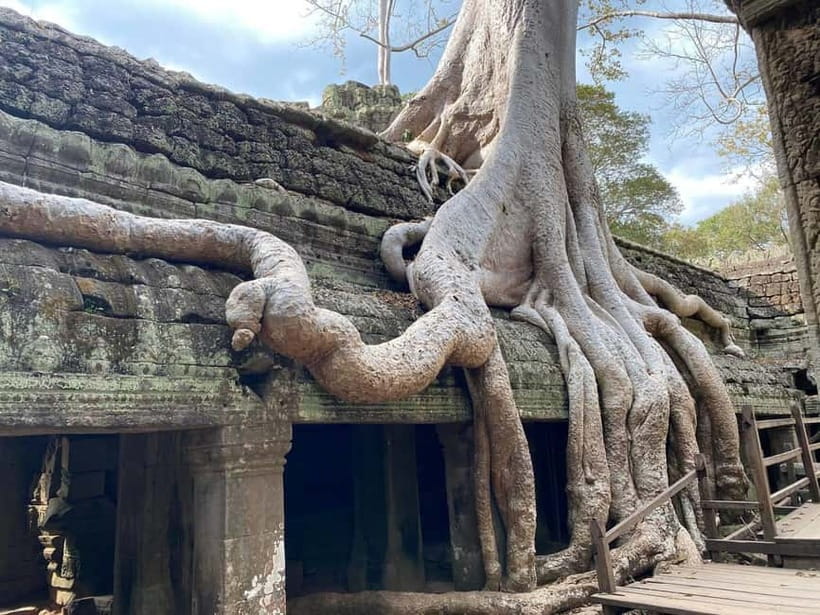 Siem Reap: Angkor Wat Small-Group Day Tour - Ta Prohm: tree roots and movie-era drama