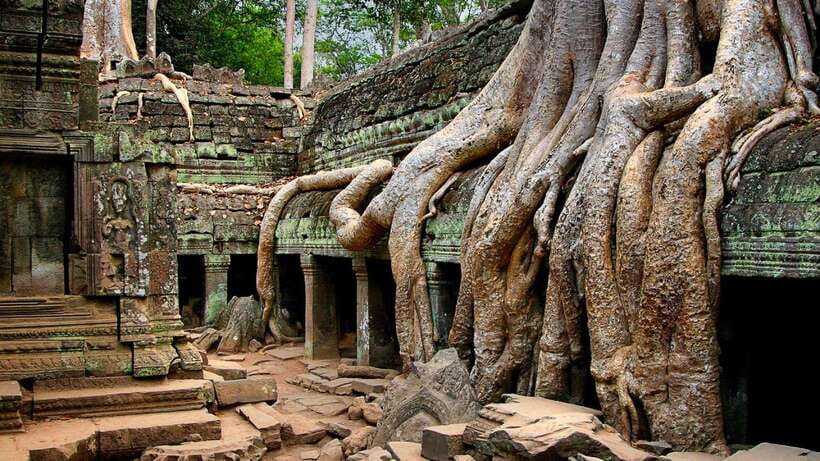 Siem Reap: Angkor Wat: Small-Group Sunrise or Sunset Tour - Practical advice before you go