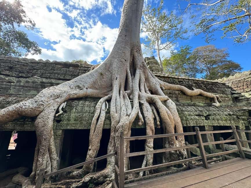 Siem Reap: Angkor Wat Small Group Tour with Spanish Guide - The sunrise option starts at 5:00 AM