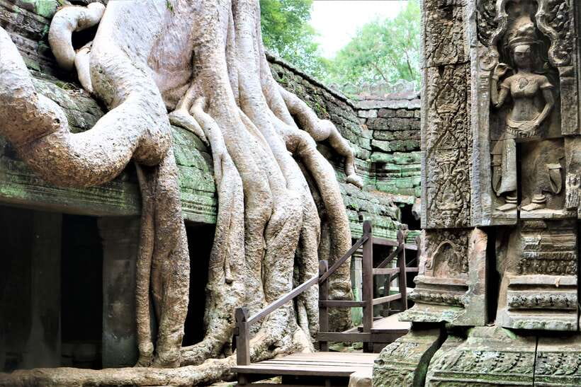 Siem Reap: Angkor Wat Sunrise and Best Temples Tour - The pre-dawn ride to Angkor Wat