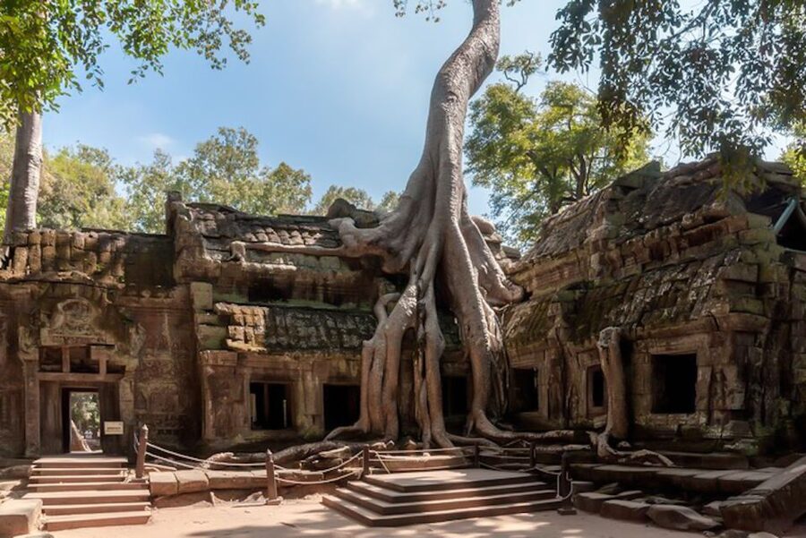 Siem Reap: Angkor Wat Sunrise and Full-Day Sightseeing Tour - Bayon and the faces of Angkor Thom