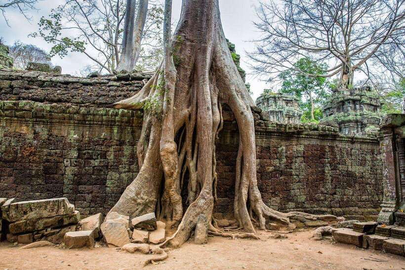 Siem Reap: Angkor Wat Sunrise Tour With Small Group - Returning to Siem Reap by hotel or central drop-off