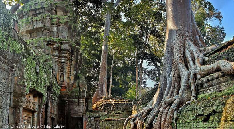 Siem Reap: Angkor Wat Temples & Phnom Kulen Park 3-Day Tour - Day two: Angkor Thom and the jungle at Ta Prohm