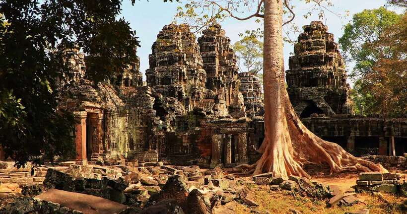 Siem Reap: Angkor Wat Tour Explore The Most Iconic Temples - What the drivers do well