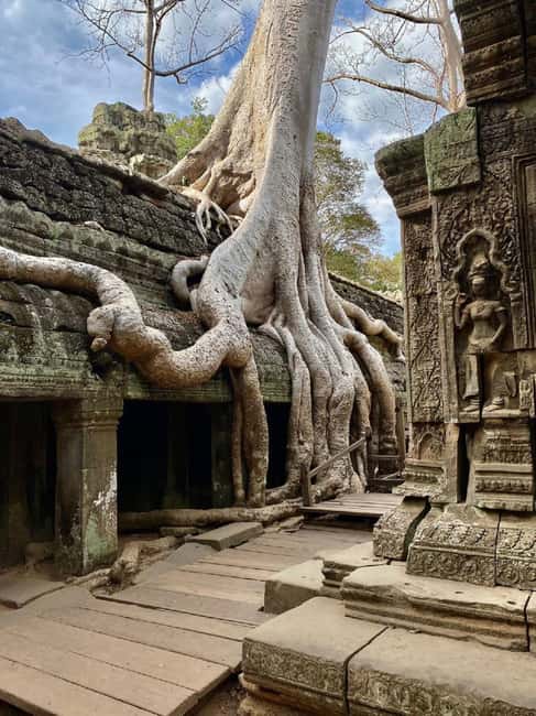 Siem Reap: Angkor Wat Tour with French-Speaking Guide - Sunrise sounds magical, but it starts at 5:00 AM