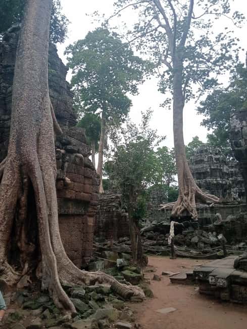 Siem Reap: Angkor Wat Tour with Italian-Speaking Guide - Angkor Thom, from Victory Gate to the terraces