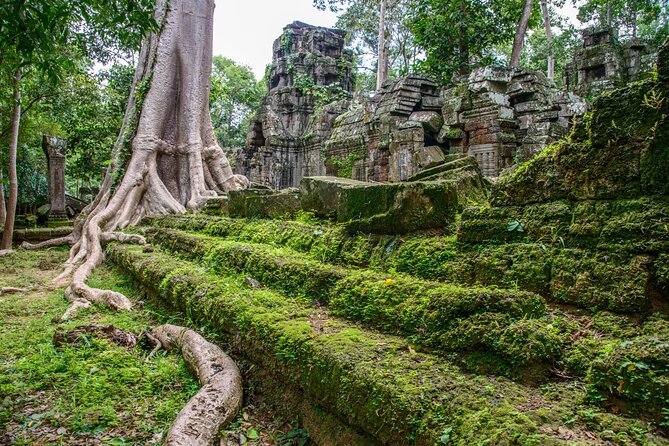 Siem Reap: Bike the Angkor Temples - Full-Day 30km Tour - Angkor Wat in the morning light