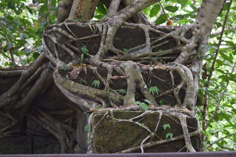 Siem Reap: Day Trip to Koh Ker and Beng Mealea Temples - Five hours in a private air-conditioned van