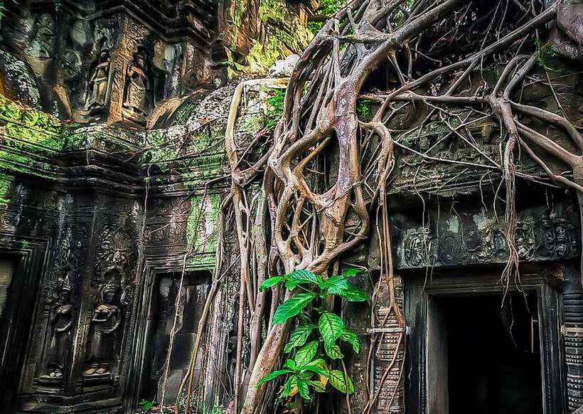 Siem Reap: Full-Day Angkor Wat Guided Tour with Sunset - Angkor Thom and the stone faces of Bayon