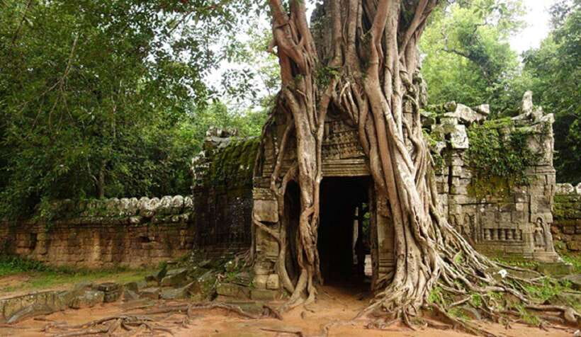 Siem Reap: Grand Circle Temples Tour With Private Tuk-Tuk - East Mebon: a useful change of setting