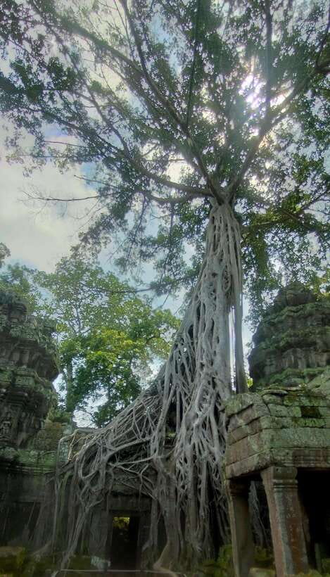 Siem Reap Private Tour: Angkor Wat Sunrise And Banteay Srei - Key points to know before booking