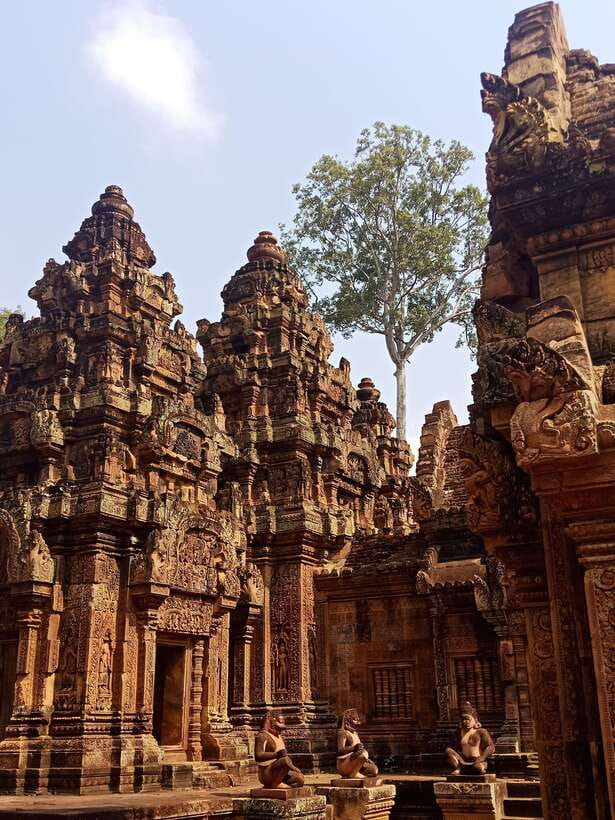 Siem Reap Private Tour: Angkor Wat Sunrise And Banteay Srei - Who should book this Angkor tour?