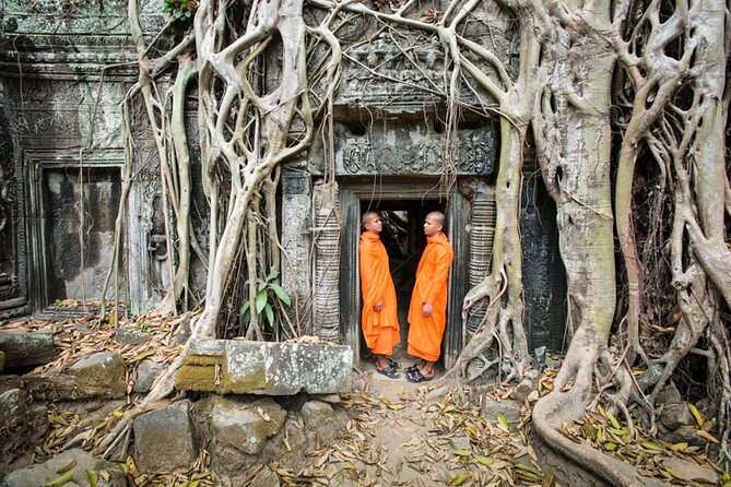 Siem Reap Tour: Angkor Wat Sunrise, Bayon, Ta Prohm, Banteay Srei - Ta Prohm, where the jungle takes over