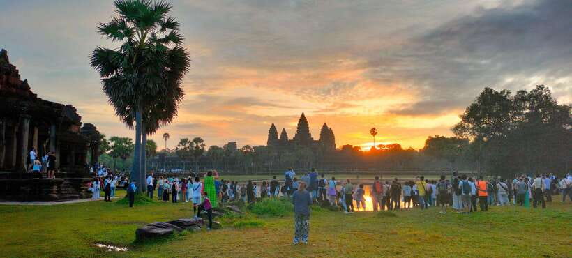 Siem Reap Tour Guide: Angkor Wat Sunrise Tour & Beng Mealea - Ta Prohm and the trees over stone, 1.5 hours