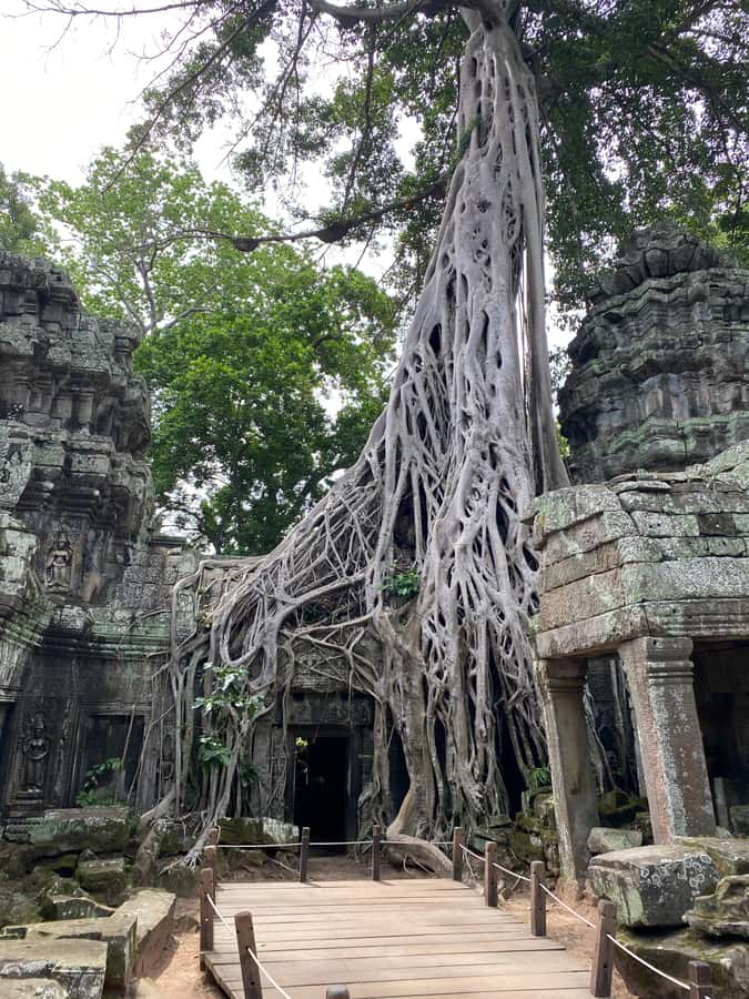 Siem Reap: Ultimate Angkor Wat Offbeat Experience by Jeep - Victory Gate and the walls of Angkor Thom