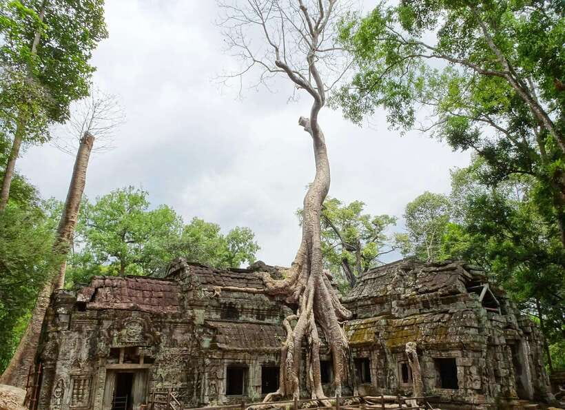 SiemReap: Private Angkor Wat Tour in English or German guide - Phnom Bakheng sunset and the timing catch