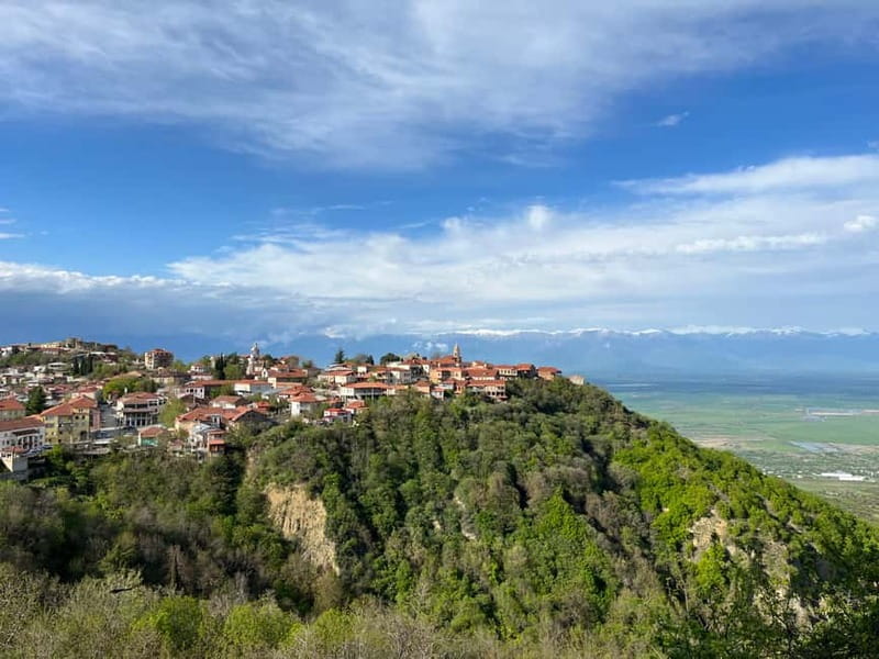 Sighnaghi Day Trip with wine tasting and Bodbe Monastery - Five things to know before you go